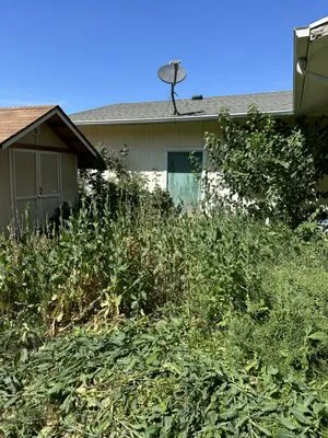 Rocky Mountain Landscaping