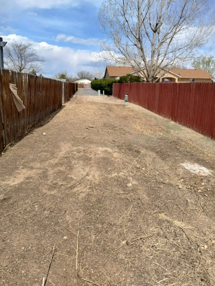 Professional yard cleanup service experts serving Pueblo, CO - Rocky Mountain Landscaping
