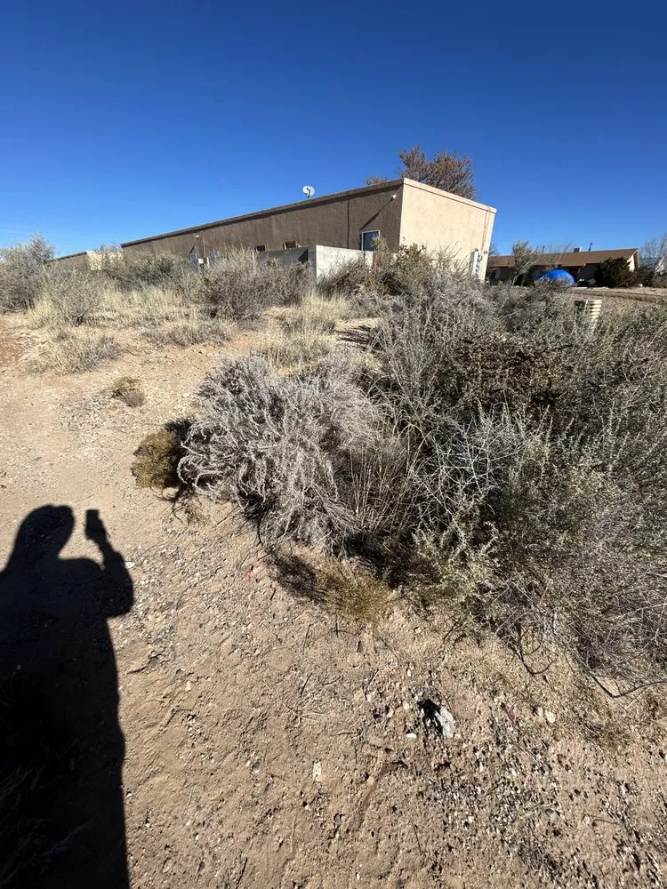 Custom yard maintenance with custom design across Rio Rancho, NM - Rocky Mountain Lawn Maintenance