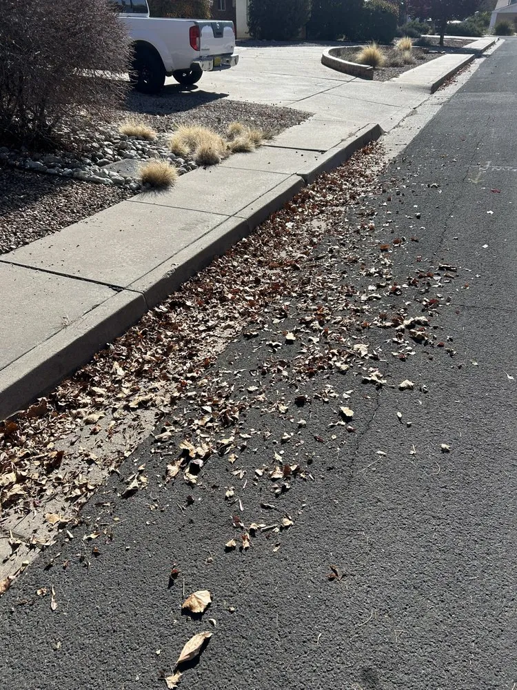 Trusted residential landscaping experts serving Rio Rancho, NM - Rocky Mountain Lawn Maintenance