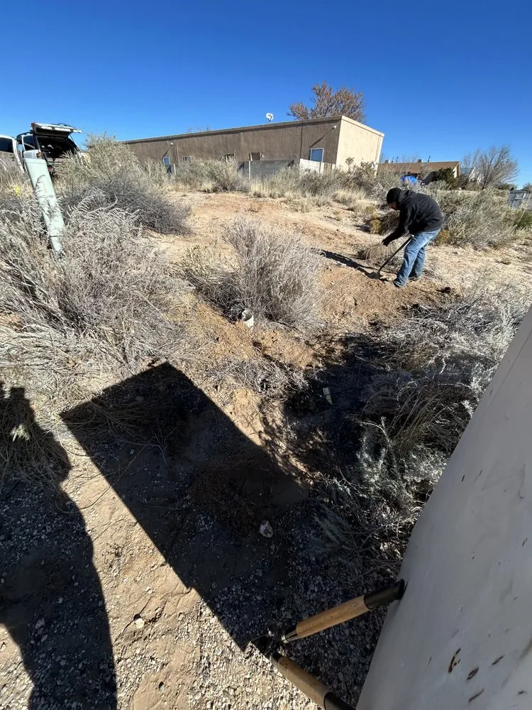 Affordable lawn care service for year-round maintenance in Rio Rancho, NM by Rocky Mountain Lawn Maintenance