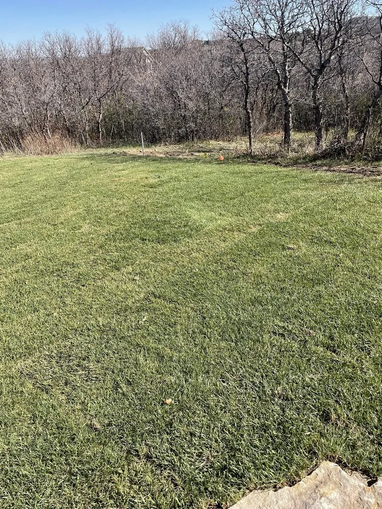Custom lawn mowing service near you in Parker, CO by Rocky Mountain Pond and Waterfall