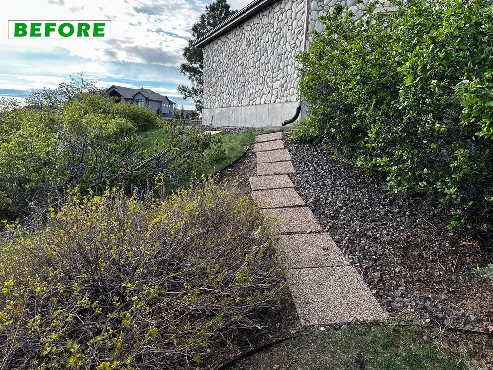 Affordable residential landscaping for outdoor upgrades in Parker, CO by Rocky Mountain Pond and Waterfall