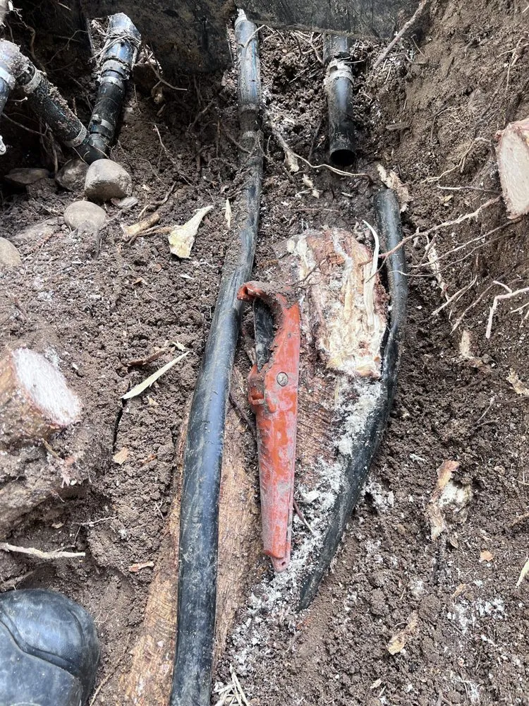 Affordable yard cleanup service near you in Parker, CO by Rocky Mountain Sprinkler and Landscaping