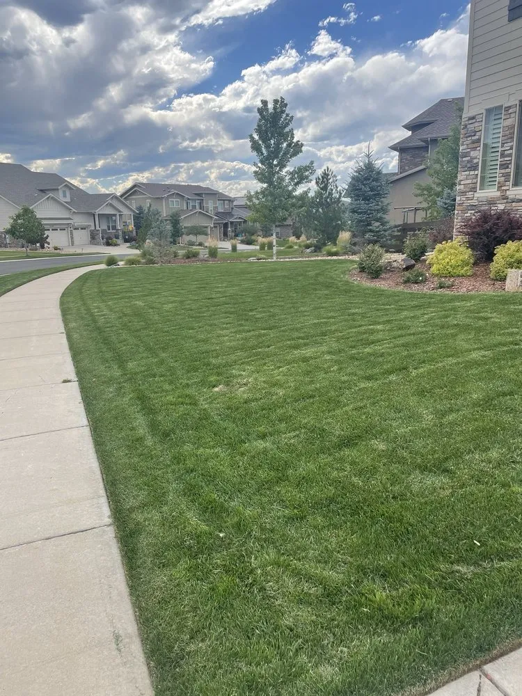 Trusted landscape installation in Parker, CO by Rocky Mountain Sprinkler and Landscaping