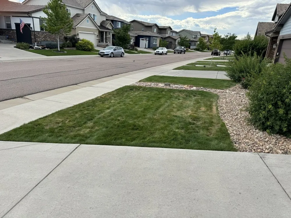 Professional landscaping services for beautiful yards in Parker, CO by Rocky Mountain Sprinkler and Landscaping