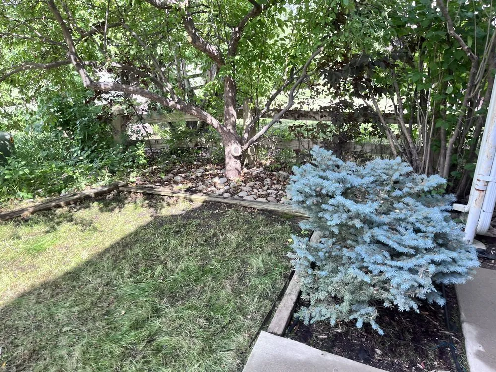 Expert landscape installation experts serving Parker, CO - Rocky Mountain Sprinkler and Landscaping