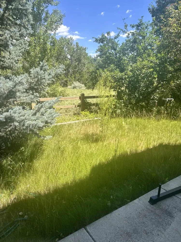 Expert landscaping services for beautiful yards across Parker, CO - Rocky Mountain Sprinkler and Landscaping