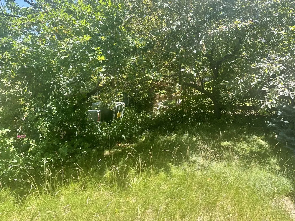 Custom lawn mowing service in Parker, CO - Rocky Mountain Sprinkler and Landscaping