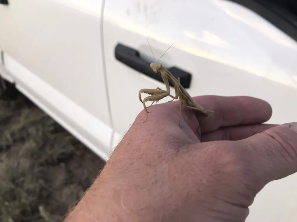 Custom landscaping services in Parker, CO by Rocky Mountain Sprinkler and Landscaping