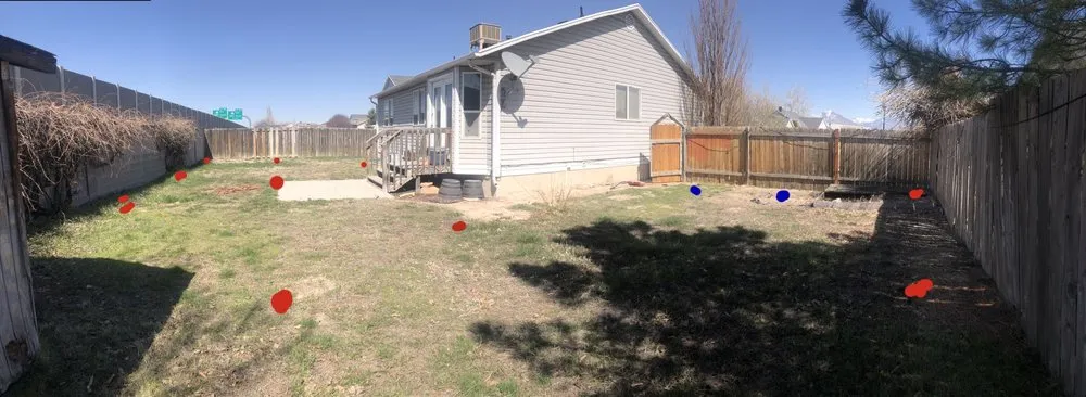 Top-rated yard cleanup service in South Jordan, UT - Rocky Mountain Yardscapes