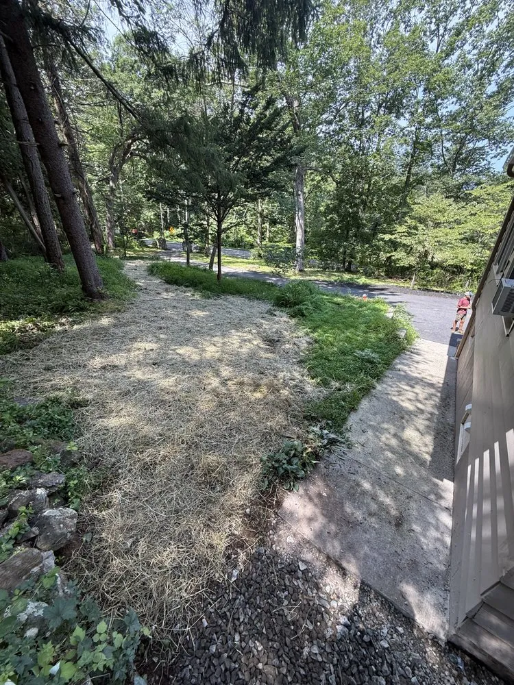 Affordable yard maintenance for residential properties across Phillipsburg, NJ - Rocky Ridge Excavation And Landscape