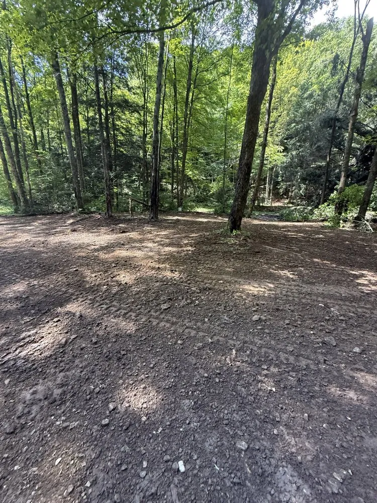 Affordable lawn care service in Phillipsburg, NJ - Rocky Ridge Excavation And Landscape