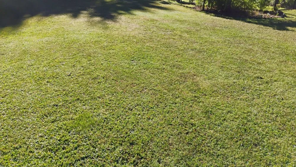 Reliable landscape installation for year-round maintenance across Ben Wheeler, TX - Rocky Ridge Lawn Care & Firewood Sales