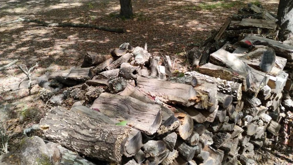 Local outdoor landscaping in Ben Wheeler, TX by Rocky Ridge Lawn Care & Firewood Sales