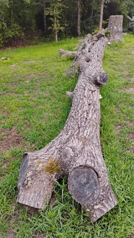 Professional landscape design experts serving Ben Wheeler, TX - Rocky Ridge Lawn Care & Firewood Sales