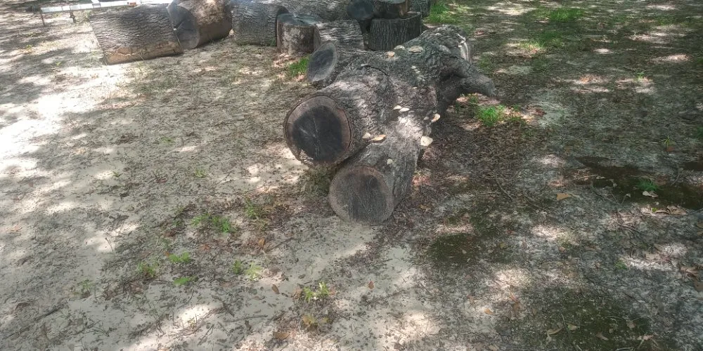 Top-rated landscape installation near you across Ben Wheeler, TX - Rocky Ridge Lawn Care & Firewood Sales