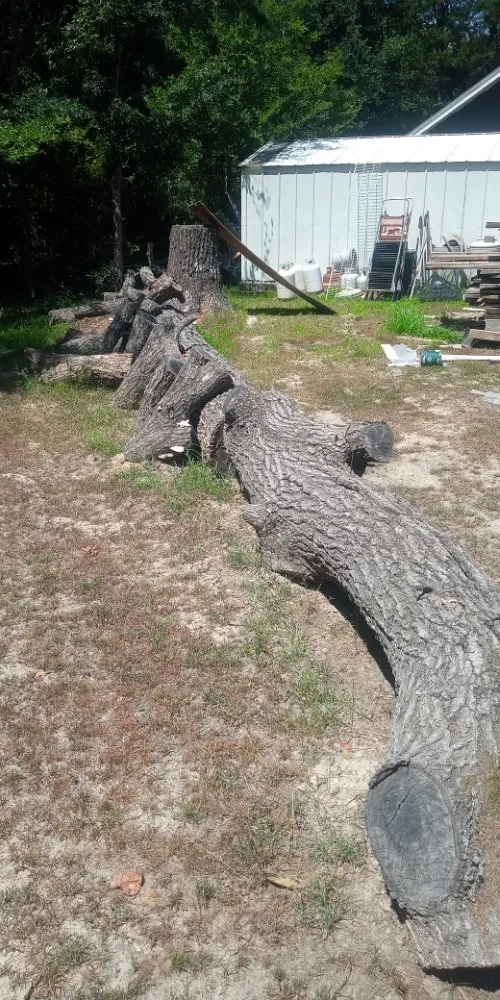 Expert lawn care service experts serving Ben Wheeler, TX - Rocky Ridge Lawn Care & Firewood Sales