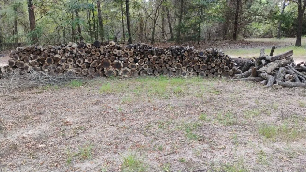 Expert yard cleanup service for residential properties in Ben Wheeler, TX by Rocky Ridge Lawn Care & Firewood Sales
