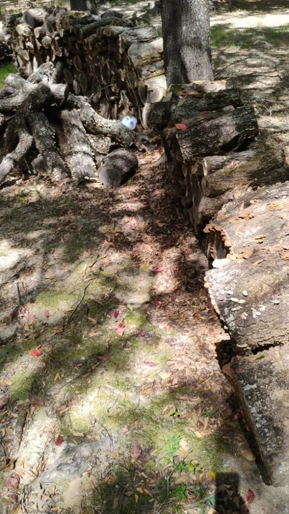 Top-rated yard maintenance in Ben Wheeler, TX - Rocky Ridge Lawn Care & Firewood Sales