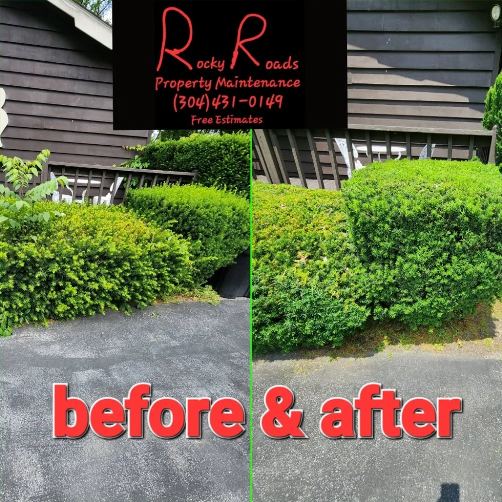 Local landscape design in Princeton, WV - Rocky Roads Property Maintenance