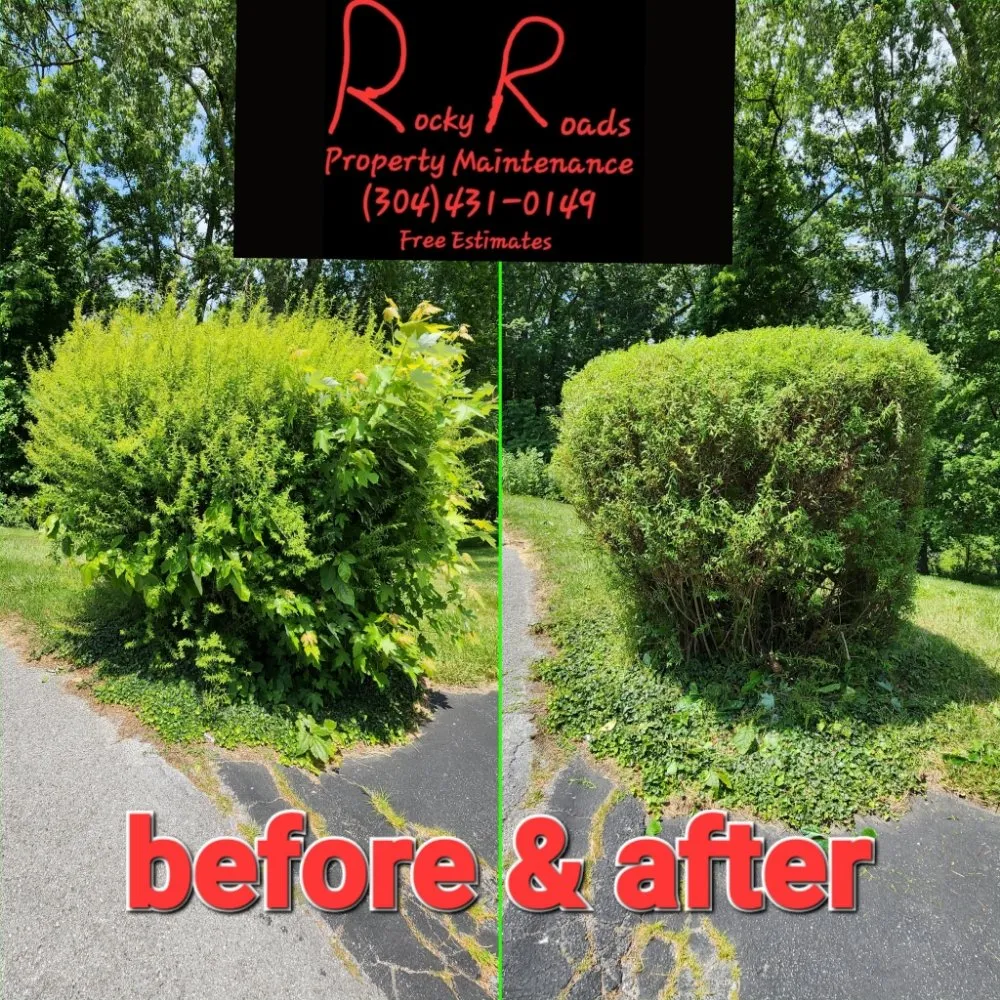 Trusted lawn care service for outdoor upgrades in Princeton, WV by Rocky Roads Property Maintenance