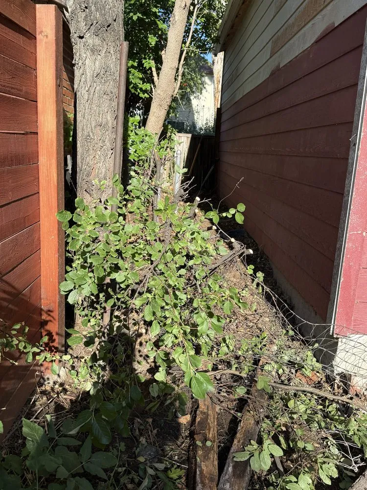 Reliable landscaping services near you in commerce city, CO by Rocky Roam Infrastructure and Design