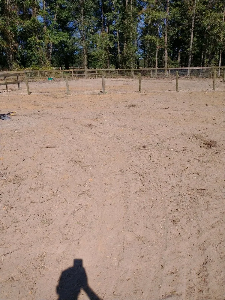 Professional outdoor landscaping for year-round maintenance across Aiken, SC - Rocky Springs Site Prep