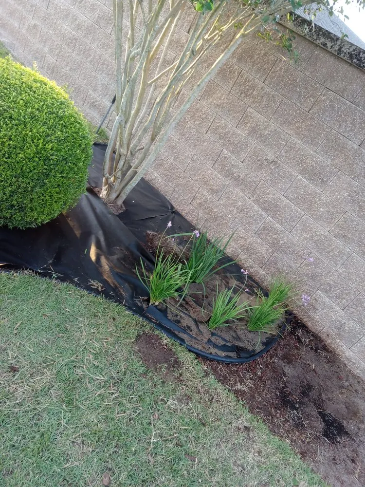 Top-rated residential landscaping in Wildwood, FL by Rocky Top Landscape Design