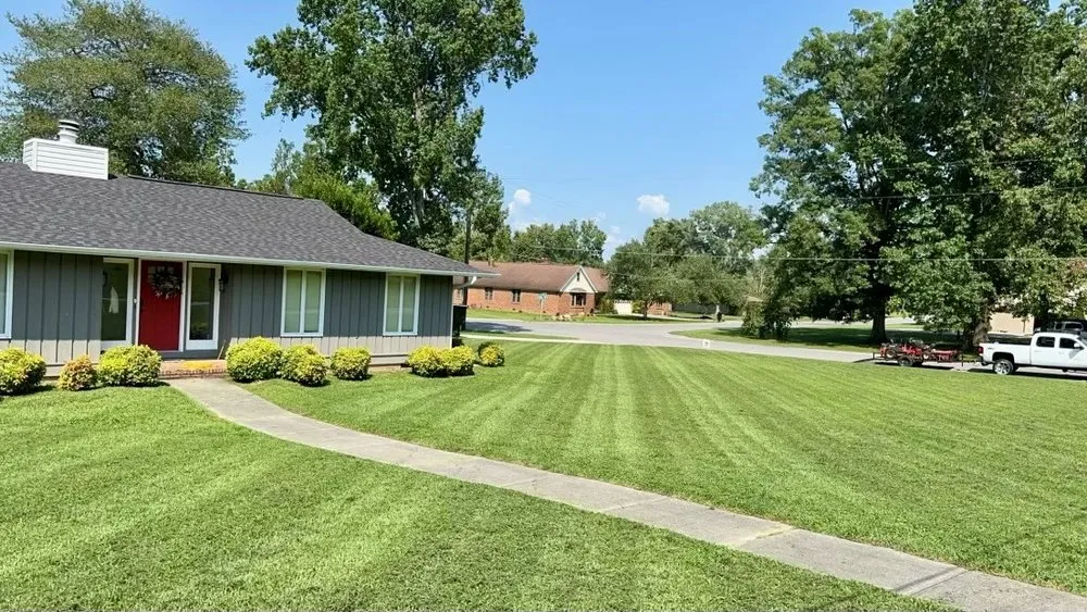 Professional yard cleanup service experts serving Sevierville, TN - Rocky Top Lawn Care