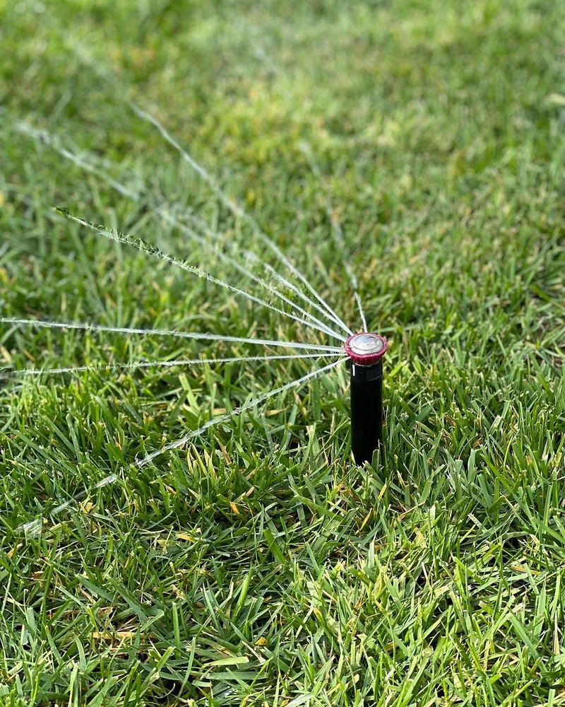 Top-rated landscape design for beautiful yards across Columbia, TN - Rocky Top Outdoors