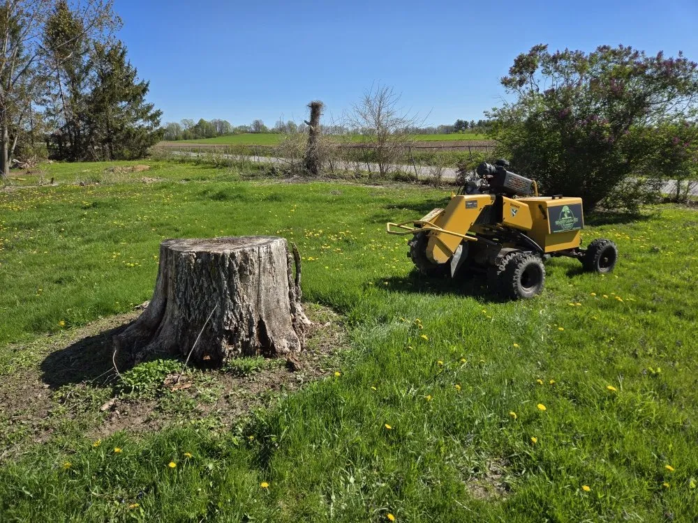 Custom yard cleanup service for beautiful yards across Watertown, WI - Rocky Top