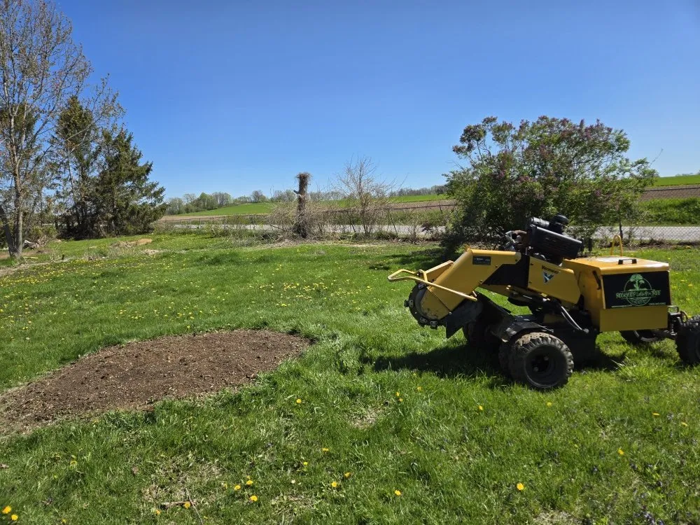 Reliable lawn care service for residential properties in Watertown, WI by Rocky Top