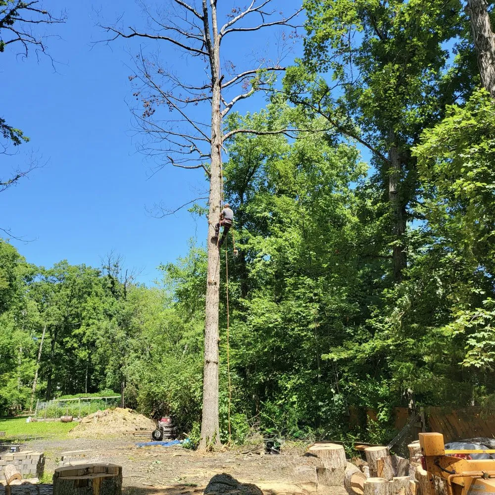 Top-rated landscape installation in Bealeton, VA - Rocky's Landscaping