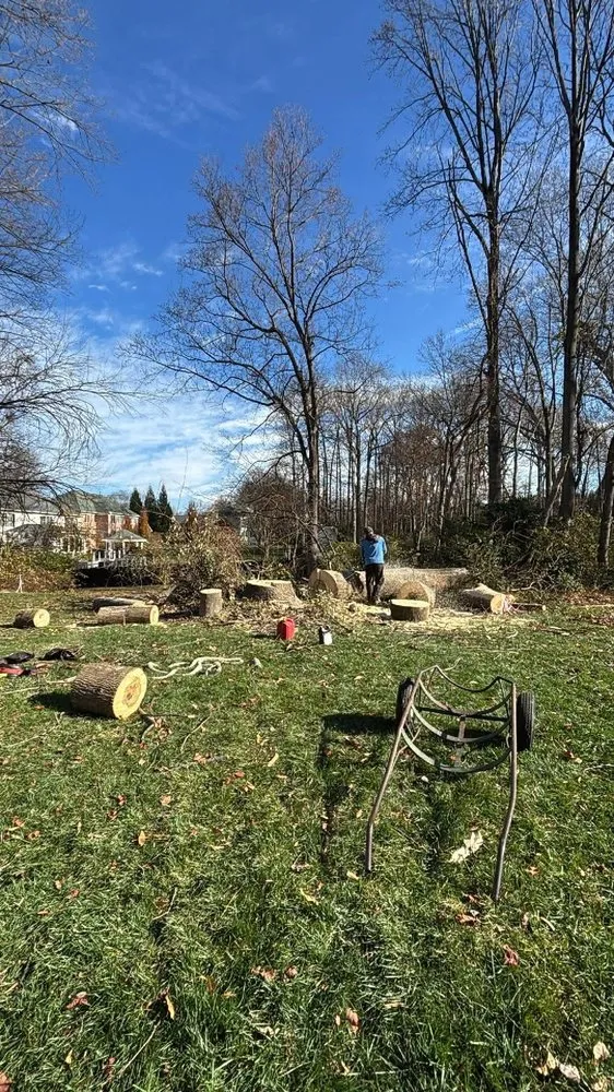 Top-rated residential landscaping for outdoor upgrades across Bealeton, VA - Rocky's Landscaping