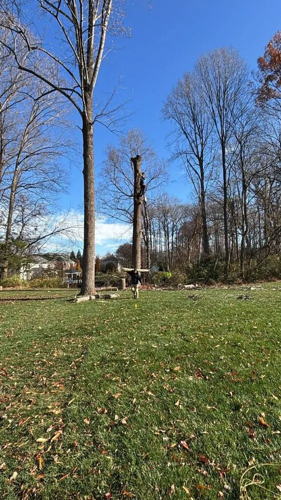 Expert outdoor landscaping in Bealeton, VA - Rocky's Landscaping