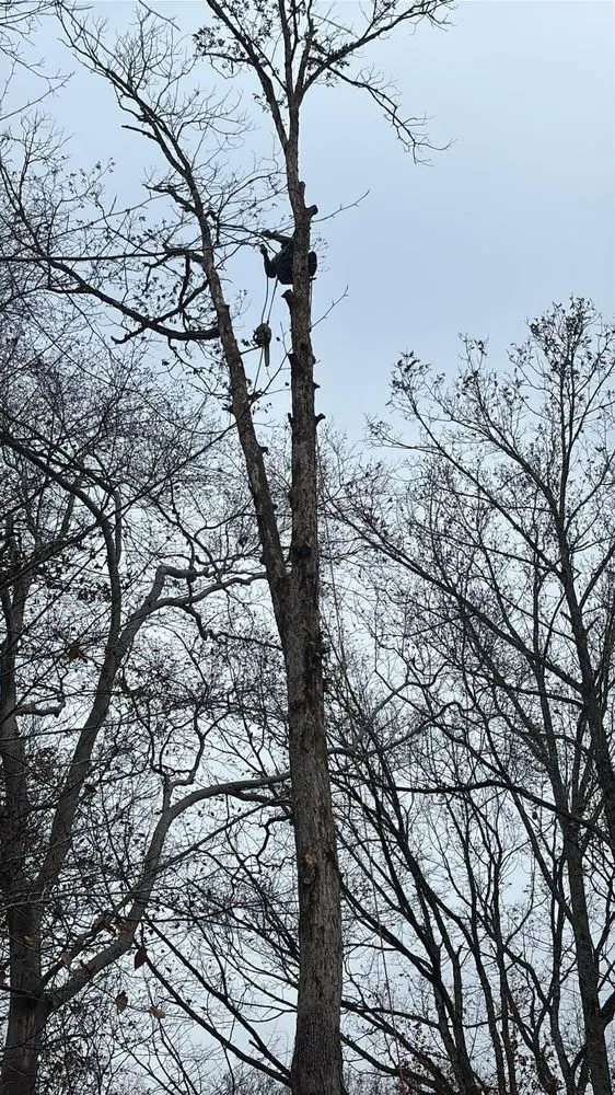 Local landscape installation for residential properties across Bealeton, VA - Rocky's Landscaping