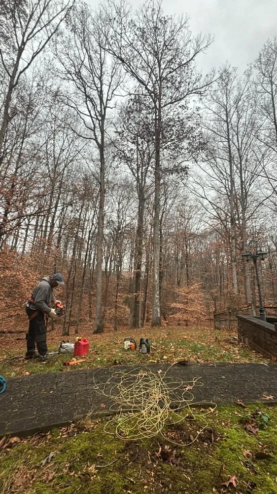 Expert garden landscaping experts serving Bealeton, VA - Rocky's Landscaping