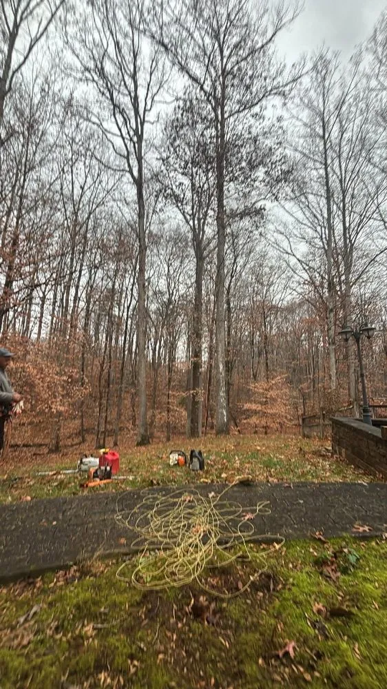 Professional landscape installation near you in Bealeton, VA by Rocky's Landscaping