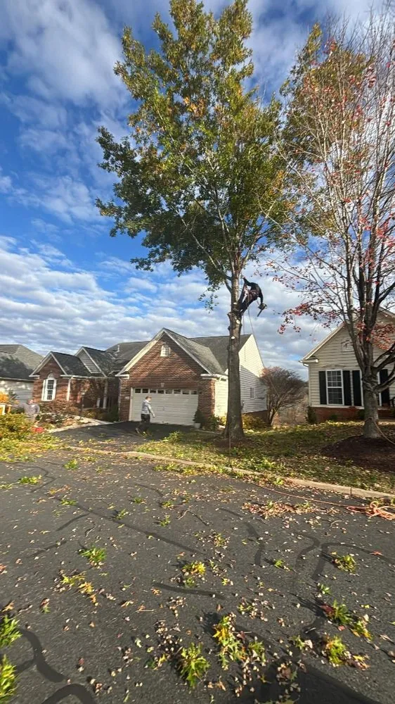 Reliable yard maintenance for homes in Bealeton, VA by Rocky's Landscaping