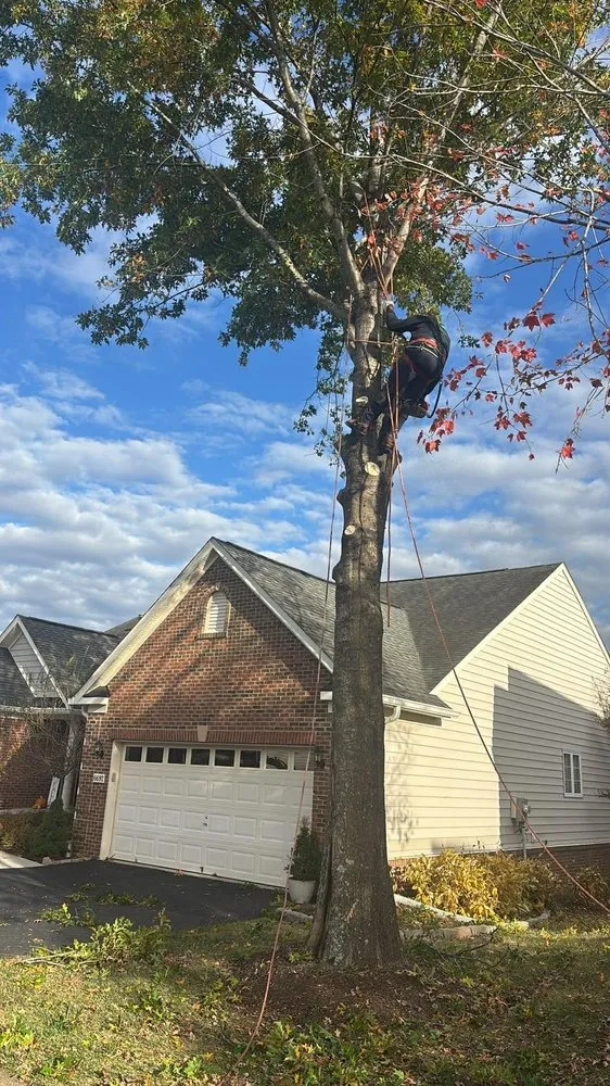 Local garden landscaping near you in Bealeton, VA by Rocky's Landscaping