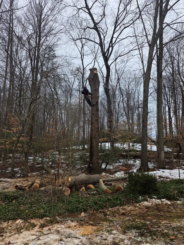 Affordable landscape installation in Bealeton, VA - Rocky's Landscaping