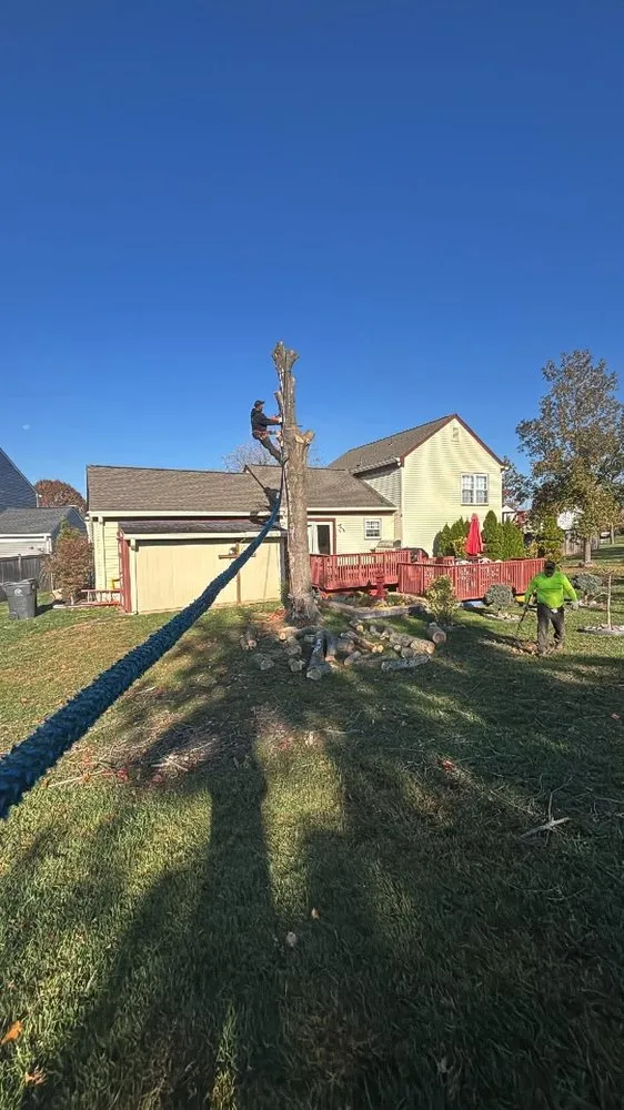 Trusted yard cleanup service in Bealeton, VA by Rocky's Landscaping