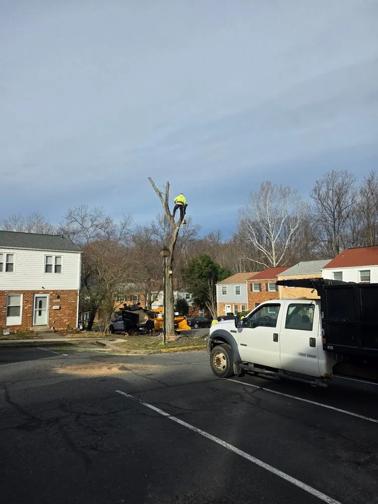 Trusted landscaping services in Bealeton, VA - Rocky's Landscaping