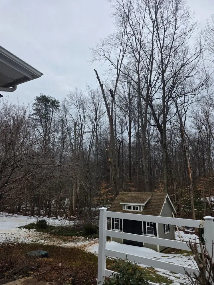 Custom outdoor landscaping in Bealeton, VA - Rocky's Landscaping