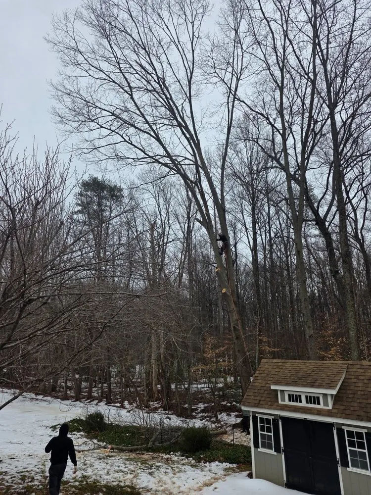 Affordable lawn mowing service for year-round maintenance across Bealeton, VA - Rocky's Landscaping