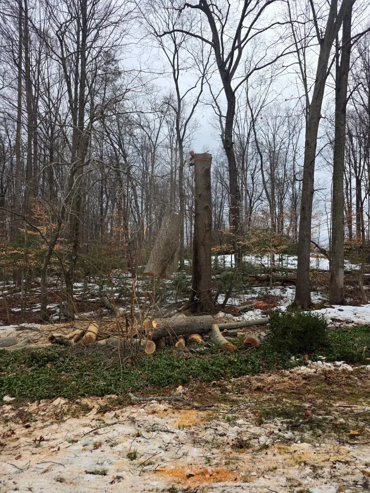 Top-rated residential landscaping in Bealeton, VA by Rocky's Landscaping