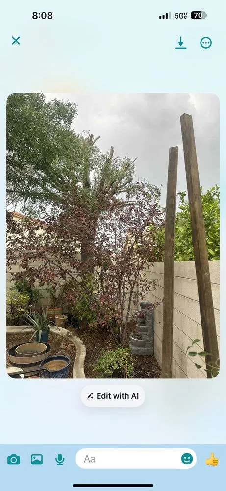 Professional landscape installation for residential properties in Las Vegas, NV by Rocky's Tree Service