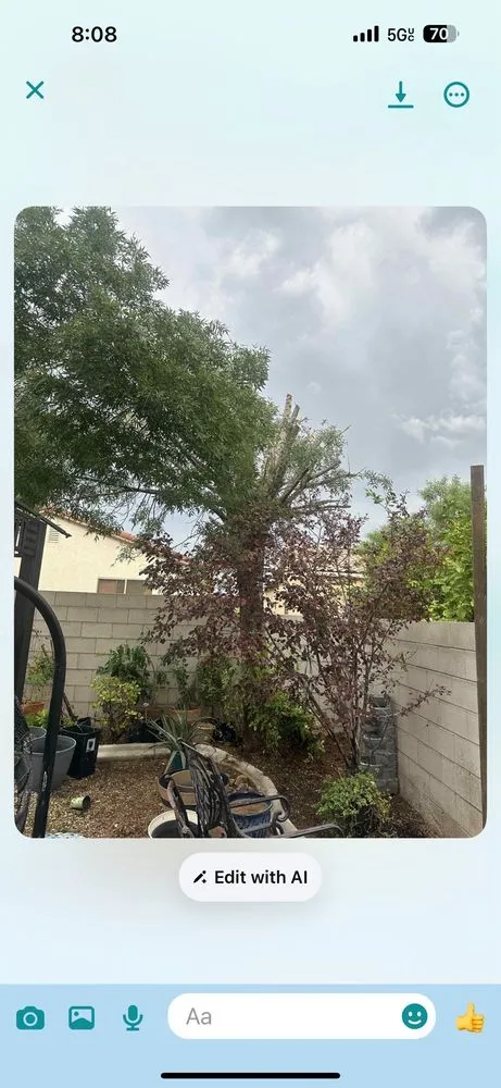 Expert landscaping services for beautiful yards across Las Vegas, NV - Rocky's Tree Service