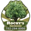 Expert landscape design for homes in Las Vegas, NV by Rocky's Tree Service